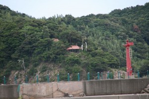 IMG_0502-s